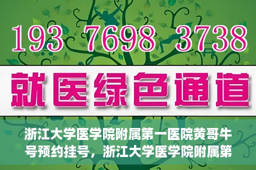 浙江大学医学院附属第一医院黄哥牛号预约挂号，浙江大学医学院附属第一医院黄哥牛号预约挂号攻略详解