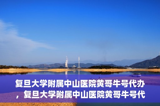 复旦大学附属中山医院黄哥牛号代办，复旦大学附属中山医院黄哥牛号代办，权威医疗资源的深度解读与便捷服务体验