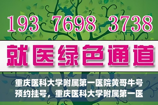 重庆医科大学附属第一医院黄哥牛号预约挂号，重庆医科大学附属第一医院黄哥牛号预约挂号攻略