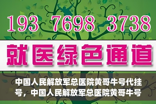 中国人民解放军总医院黄哥牛号代挂号，中国人民解放军总医院黄哥牛号代挂号解析，揭秘挂号背后的故事