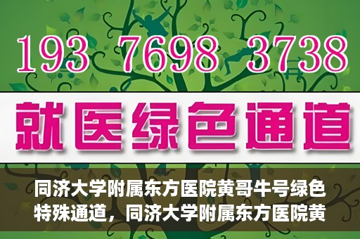 同济大学附属东方医院黄哥牛号绿色特殊通道，同济大学附属东方医院黄哥牛号，绿色特殊通道开启健康之门