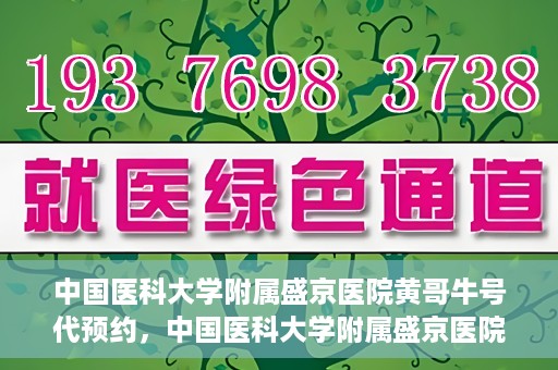 中国医科大学附属盛京医院黄哥牛号代预约，中国医科大学附属盛京医院黄哥牛号预约服务解析