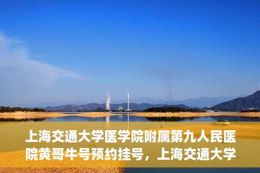 上海交通大学医学院附属第九人民医院黄哥牛号预约挂号，上海交通大学医学院附属第九人民医院黄哥牛号预约挂号攻略解析