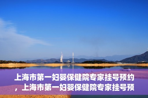 上海市第一妇婴保健院专家挂号预约，上海市第一妇婴保健院专家挂号预约攻略与指南