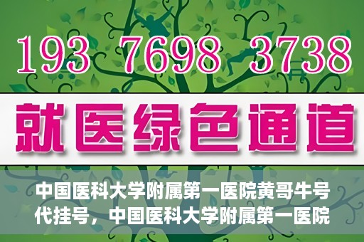 中国医科大学附属第一医院黄哥牛号代挂号，中国医科大学附属第一医院黄哥牛号代挂号服务详解