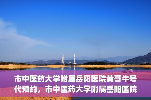 市中医药大学附属岳阳医院黄哥牛号代预约，市中医药大学附属岳阳医院黄哥牛号预约服务启动