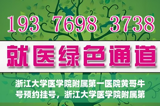浙江大学医学院附属第一医院黄哥牛号预约挂号，浙江大学医学院附属第一医院黄哥牛号预约挂号攻略详解