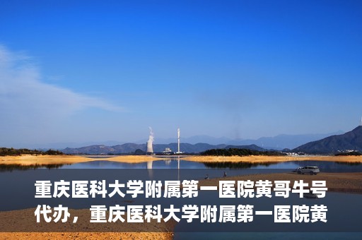 重庆医科大学附属第一医院黄哥牛号代办，重庆医科大学附属第一医院黄哥牛号代办服务详解