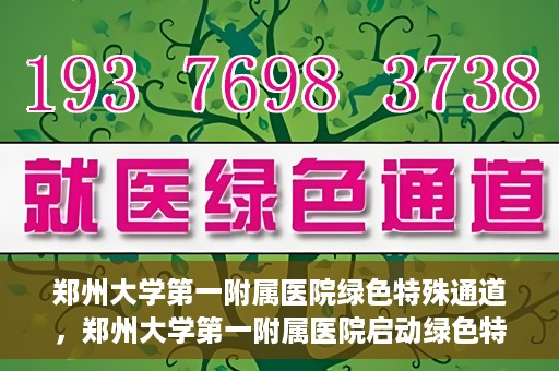 郑州大学第一附属医院绿色特殊通道，郑州大学第一附属医院启动绿色特殊通道，助力患者高效就医