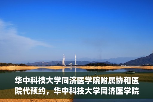 华中科技大学同济医学院附属协和医院代预约，华中科技大学同济医学院附属协和医院便捷代预约服务解析