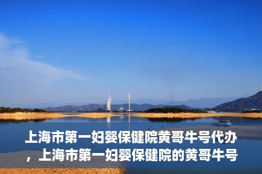 上海市第一妇婴保健院黄哥牛号代办，上海市第一妇婴保健院的黄哥牛号代办服务解析