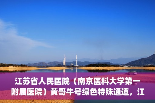 江苏省人民医院（南京医科大学第一附属医院）黄哥牛号绿色特殊通道，江苏省人民医院绿色特殊通道，黄哥牛号的医疗速度与温情服务