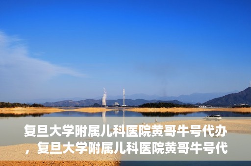 复旦大学附属儿科医院黄哥牛号代办，复旦大学附属儿科医院黄哥牛号代办，一站式服务详解