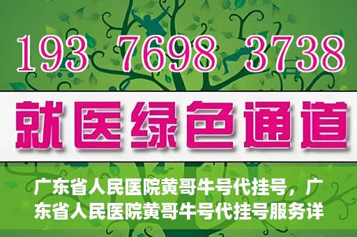 广东省人民医院黄哥牛号代挂号，广东省人民医院黄哥牛号代挂号服务详解