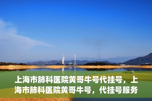 上海市肺科医院黄哥牛号代挂号，上海市肺科医院黄哥牛号，代挂号服务详解
