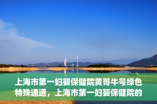 上海市第一妇婴保健院黄哥牛号绿色特殊通道，上海市第一妇婴保健院的绿色特殊通道，黄哥牛号行动启动