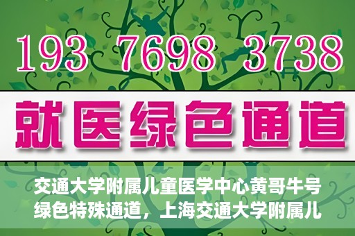 交通大学附属儿童医学中心黄哥牛号绿色特殊通道，上海交通大学附属儿童医学中心黄哥牛号，绿色特殊通道的守护者们
