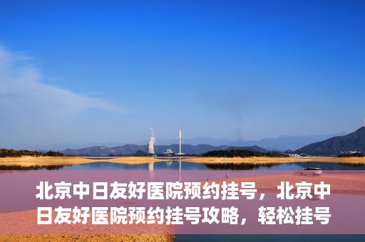 北京中日友好医院预约挂号，北京中日友好医院预约挂号攻略，轻松挂号，就医无忧
