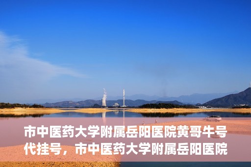 市中医药大学附属岳阳医院黄哥牛号代挂号，市中医药大学附属岳阳医院黄哥牛号代挂号服务解析