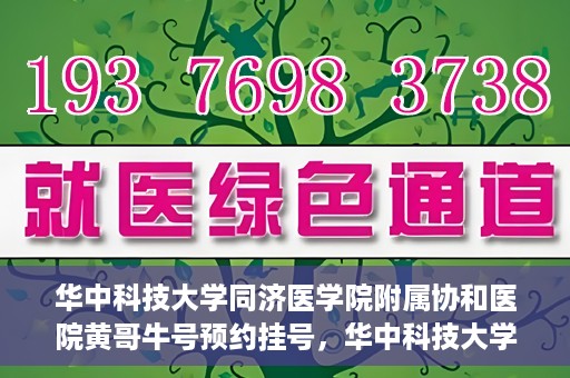 华中科技大学同济医学院附属协和医院黄哥牛号预约挂号，华中科技大学同济医学院附属协和医院黄哥牛号预约挂号攻略解析
