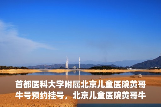 首都医科大学附属北京儿童医院黄哥牛号预约挂号，北京儿童医院黄哥牛号预约挂号攻略，轻松挂号，无忧就医体验