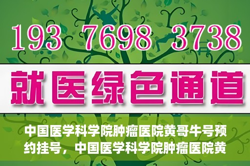 中国医学科学院肿瘤医院黄哥牛号预约挂号，中国医学科学院肿瘤医院黄哥牛号预约挂号攻略，一站式解决您的挂号难题