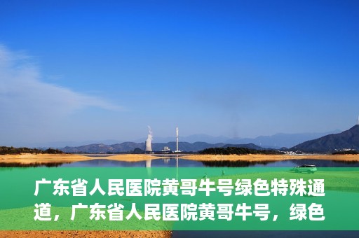 广东省人民医院黄哥牛号绿色特殊通道，广东省人民医院黄哥牛号，绿色特殊通道开启健康之门