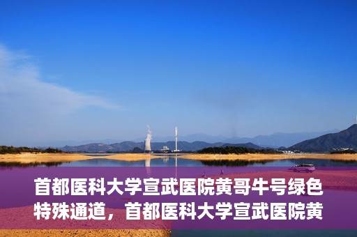 首都医科大学宣武医院黄哥牛号绿色特殊通道，首都医科大学宣武医院黄哥牛号，绿色特殊通道开启健康之门
