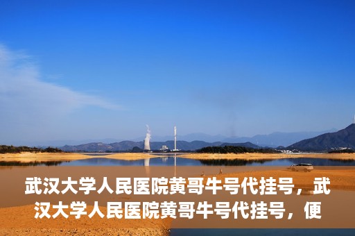 武汉大学人民医院黄哥牛号代挂号，武汉大学人民医院黄哥牛号代挂号，便捷就医背后的故事
