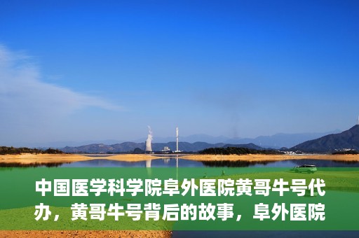 中国医学科学院阜外医院黄哥牛号代办，黄哥牛号背后的故事，阜外医院名医揭秘与医疗服务的深度解读