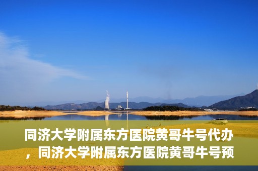 同济大学附属东方医院黄哥牛号代办，同济大学附属东方医院黄哥牛号预约代办攻略
