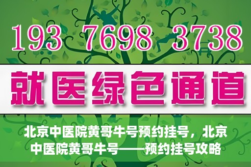 北京中医院黄哥牛号预约挂号，北京中医院黄哥牛号——预约挂号攻略