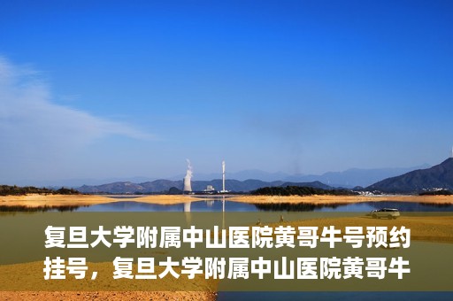 复旦大学附属中山医院黄哥牛号预约挂号，复旦大学附属中山医院黄哥牛号预约挂号攻略解析