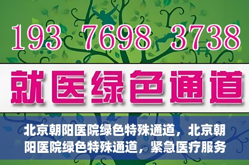 北京朝阳医院绿色特殊通道，北京朝阳医院绿色特殊通道，紧急医疗服务的速度与温情