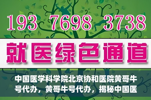 中国医学科学院北京协和医院黄哥牛号代办，黄哥牛号代办，揭秘中国医学科学院北京协和医院背后的故事