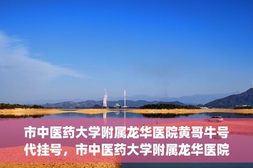 市中医药大学附属龙华医院黄哥牛号代挂号，市中医药大学附属龙华医院黄哥牛号代挂号服务解析