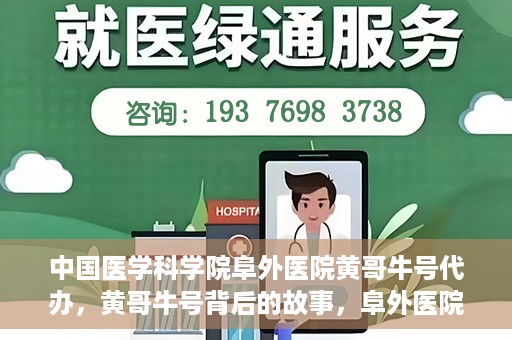 中国医学科学院阜外医院黄哥牛号代办，黄哥牛号背后的故事，阜外医院名医揭秘与医疗服务的深度解读