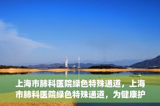 上海市肺科医院绿色特殊通道，上海市肺科医院绿色特殊通道，为健康护航的紧急通道