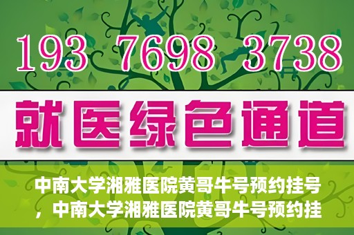 中南大学湘雅医院黄哥牛号预约挂号，中南大学湘雅医院黄哥牛号预约挂号攻略，轻松挂号，无忧就医体验