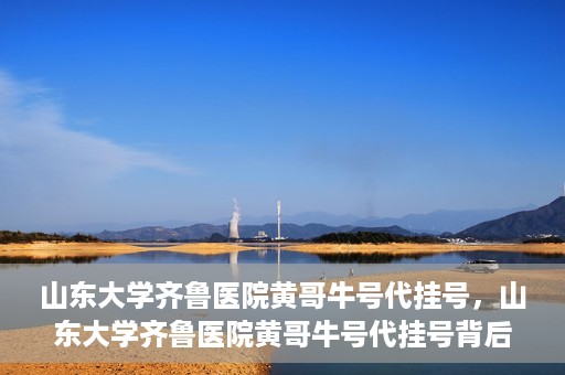山东大学齐鲁医院黄哥牛号代挂号，山东大学齐鲁医院黄哥牛号代挂号背后的故事与探索