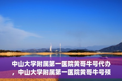 中山大学附属第一医院黄哥牛号代办，中山大学附属第一医院黄哥牛号预约挂号代办攻略