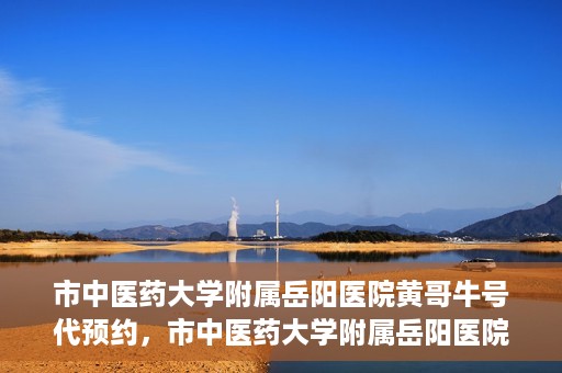 市中医药大学附属岳阳医院黄哥牛号代预约，市中医药大学附属岳阳医院黄哥牛号预约服务启动