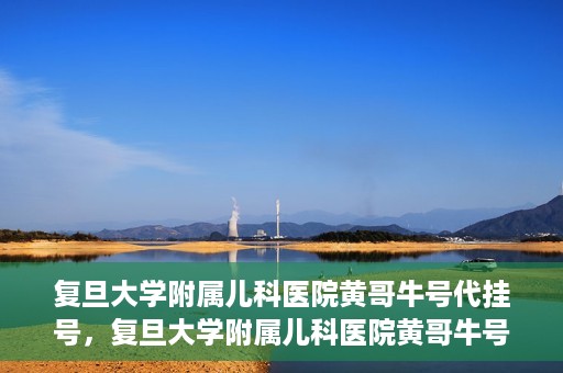 复旦大学附属儿科医院黄哥牛号代挂号，复旦大学附属儿科医院黄哥牛号代挂号解析，专业解读与挂号攻略