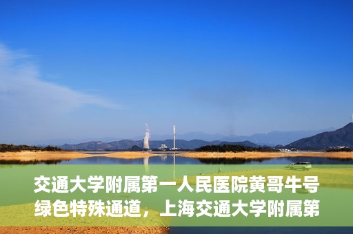 交通大学附属第一人民医院黄哥牛号绿色特殊通道，上海交通大学附属第一人民医院黄哥牛号，绿色特殊通道开启健康之门