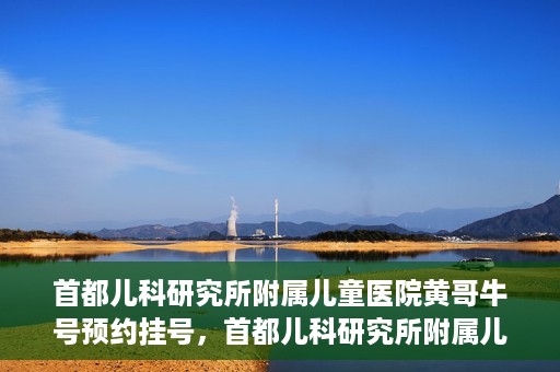首都儿科研究所附属儿童医院黄哥牛号预约挂号，首都儿科研究所附属儿童医院黄哥牛号预约挂号攻略