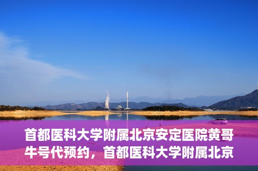 首都医科大学附属北京安定医院黄哥牛号代预约，首都医科大学附属北京安定医院黄哥牛号预约服务解析