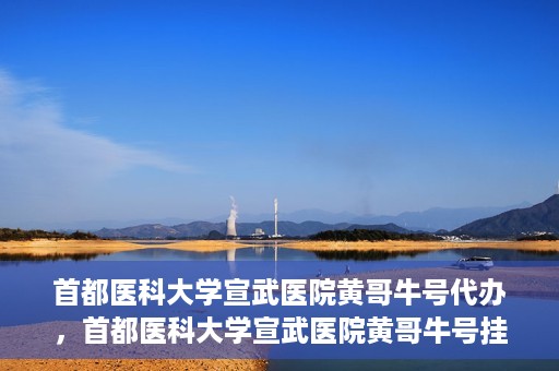 首都医科大学宣武医院黄哥牛号代办，首都医科大学宣武医院黄哥牛号挂号代办攻略