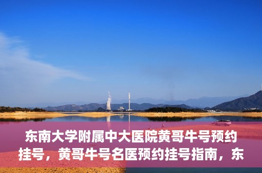 东南大学附属中大医院黄哥牛号预约挂号，黄哥牛号名医预约挂号指南，东南大学附属中大医院预约攻略