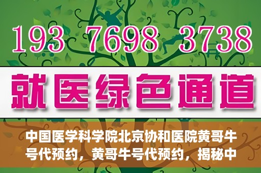 中国医学科学院北京协和医院黄哥牛号代预约，黄哥牛号代预约，揭秘中国医学科学院北京协和医院挂号秘籍