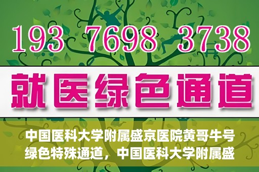 中国医科大学附属盛京医院黄哥牛号绿色特殊通道，中国医科大学附属盛京医院黄哥牛号，绿色特殊通道开启健康之门